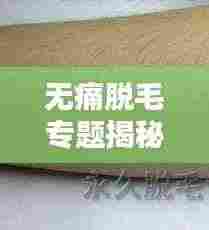 无痛脱毛专题揭秘，现代脱毛技术的革新与优势