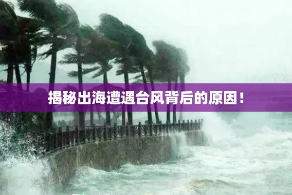 揭秘出海遭遇台风背后的原因！