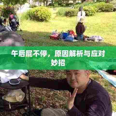 午后屁不停，原因解析与应对妙招