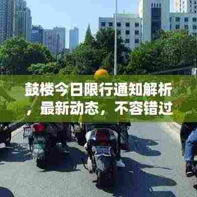 鼓楼今日限行通知解析，最新动态，不容错过！