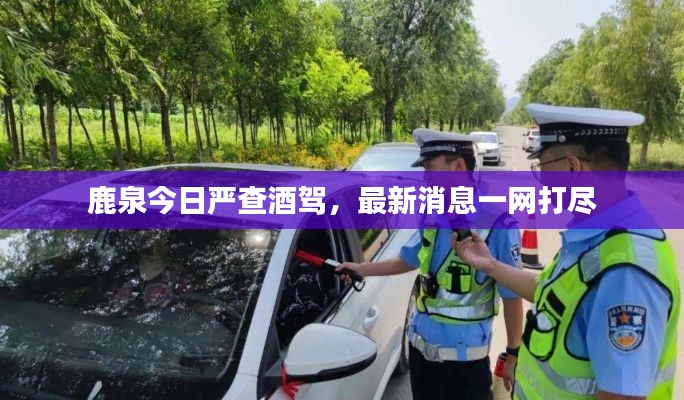 鹿泉今日严查酒驾，最新消息一网打尽