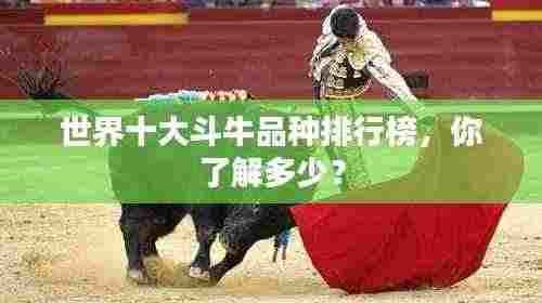 世界十大斗牛品种排行榜，你了解多少？
