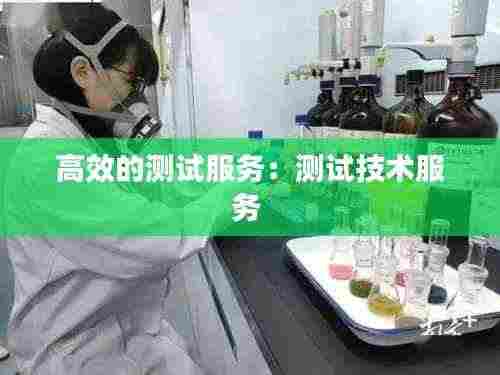 高效的测试服务：测试技术服务 