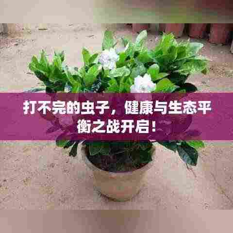 打不完的虫子，健康与生态平衡之战开启！