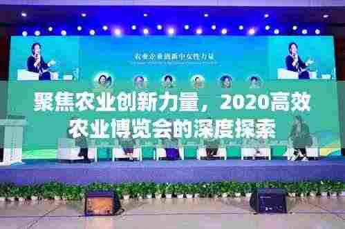 聚焦农业创新力量，2020高效农业博览会的深度探索