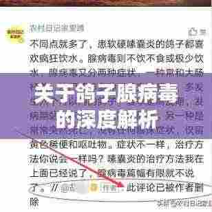 关于鸽子腺病毒的深度解析