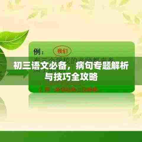 初三语文必备，病句专题解析与技巧全攻略