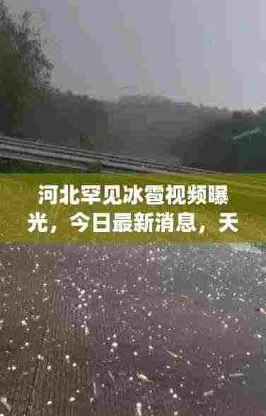 河北罕见冰雹视频曝光，今日最新消息，天气奇观引发广泛关注