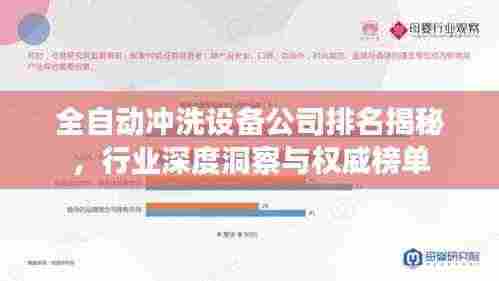全自动冲洗设备公司排名揭秘，行业深度洞察与权威榜单