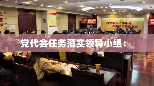 党代会任务落实领导小组： 