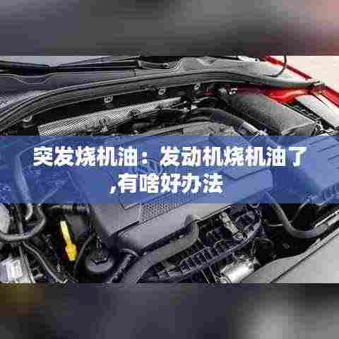突发烧机油：发动机烧机油了,有啥好办法 