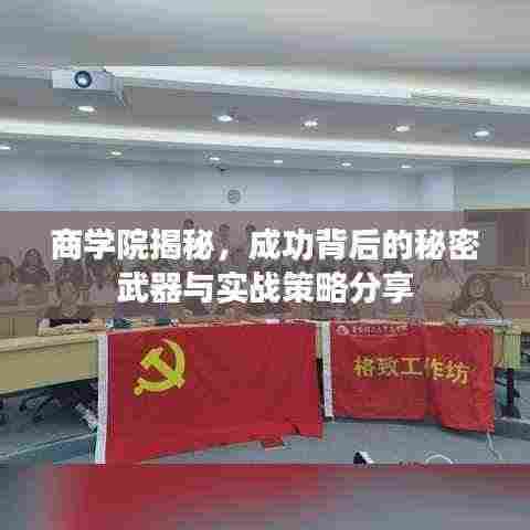 商学院揭秘，成功背后的秘密武器与实战策略分享