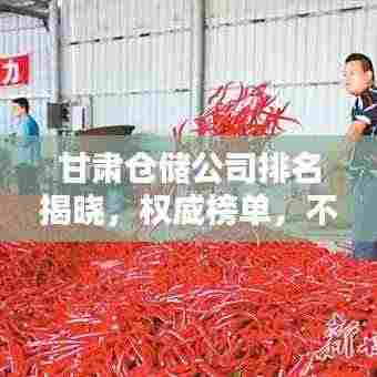 甘肃仓储公司排名揭晓，权威榜单，不容错过！