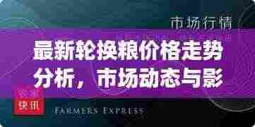 最新轮换粮价格走势分析，市场动态与影响因素深度解读