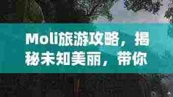 Moli旅游攻略，揭秘未知美丽，带你探索神秘之地！