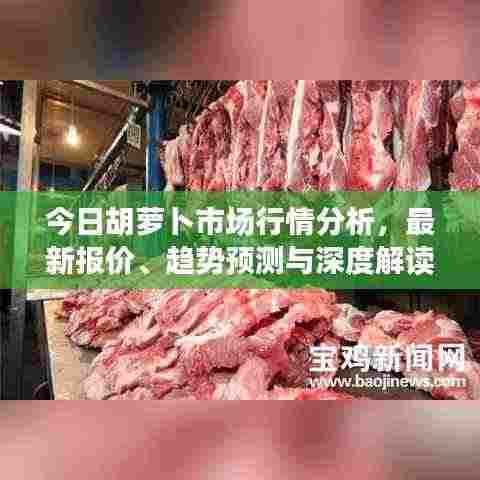 今日胡萝卜市场行情分析，最新报价、趋势预测与深度解读