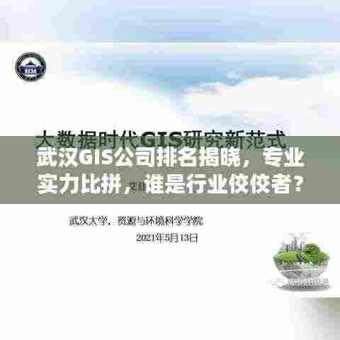 武汉GIS公司排名揭晓，专业实力比拼，谁是行业佼佼者？