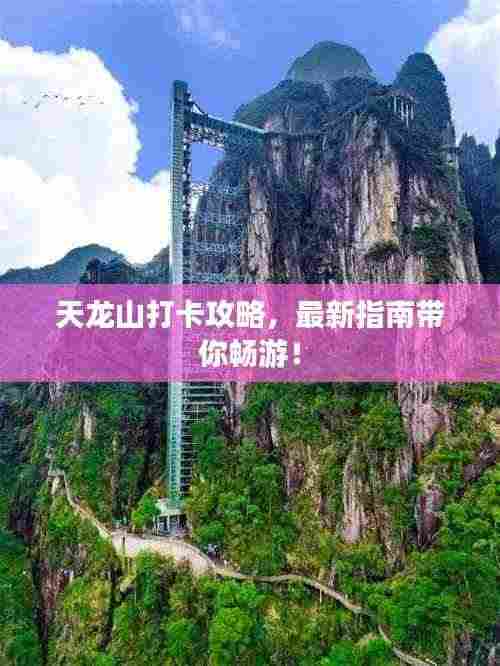 天龙山打卡攻略，最新指南带你畅游！