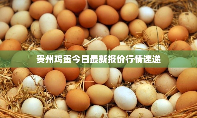 大雅君子 第3页