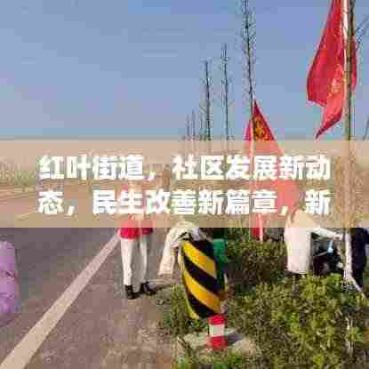 红叶街道，社区发展新动态，民生改善新篇章，新闻头条抢先看！
