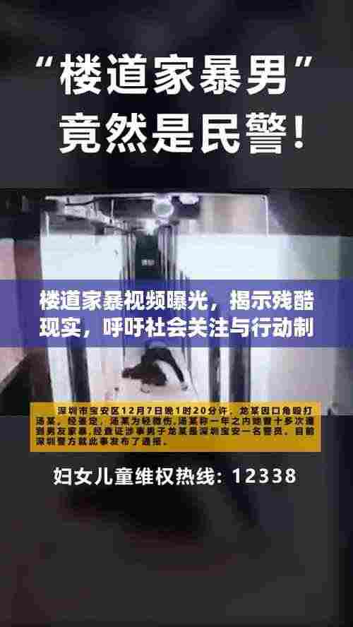 楼道家暴视频曝光，揭示残酷现实，呼吁社会关注与行动制止家暴