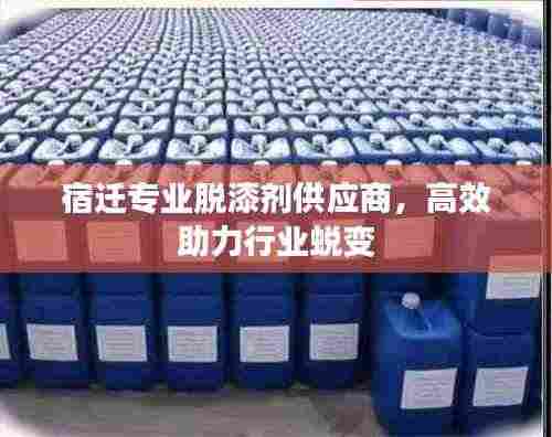 宿迁专业脱漆剂供应商，高效助力行业蜕变