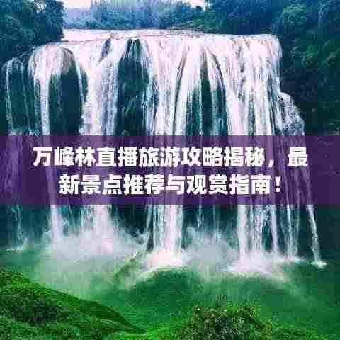 万峰林直播旅游攻略揭秘，最新景点推荐与观赏指南！