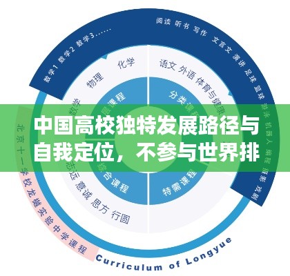 中国高校独特发展路径与自我定位，不参与世界排名，专注内涵建设