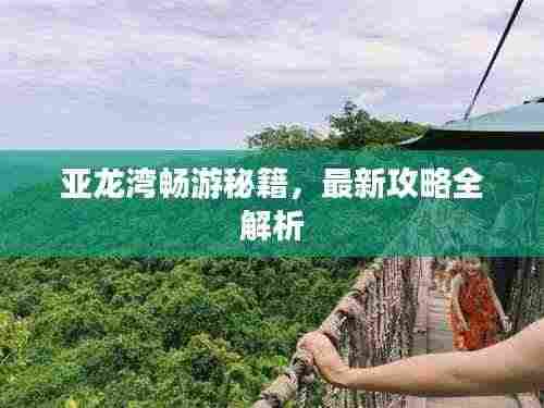 云屯鸟散 第3页