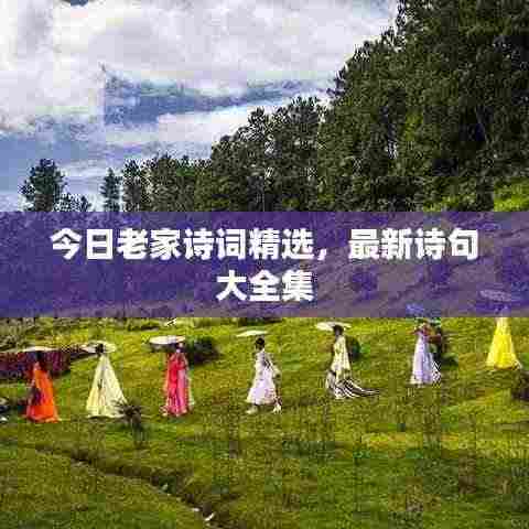 今日老家诗词精选，最新诗句大全集