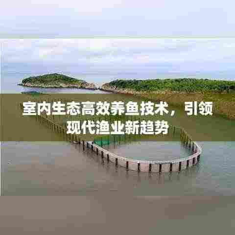 室内生态高效养鱼技术，引领现代渔业新趋势