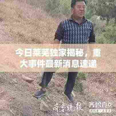 今日莱芜独家揭秘，重大事件最新消息速递