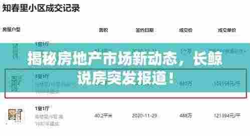 揭秘房地产市场新动态，长鲸说房突发报道！