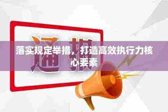 落实规定举措,打造高效执行力核心要素