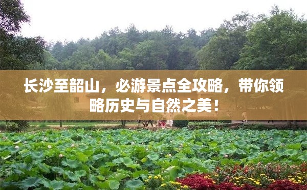 长沙至韶山，必游景点全攻略，带你领略历史与自然之美！