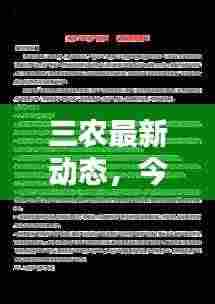 三农最新动态，今日热点关注与消息查询