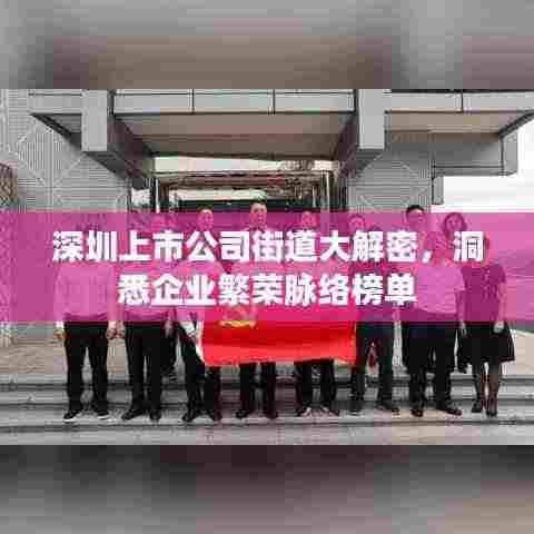 深圳上市公司街道大解密，洞悉企业繁荣脉络榜单