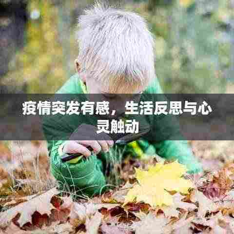 疫情突发有感，生活反思与心灵触动