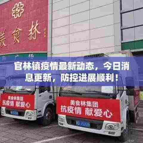官林镇疫情最新动态，今日消息更新，防控进展顺利！