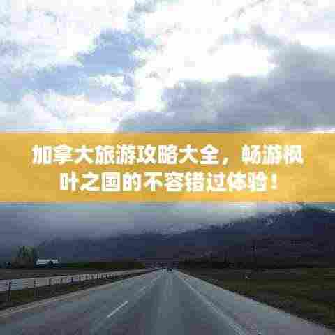 鸟惊鱼骇 第3页