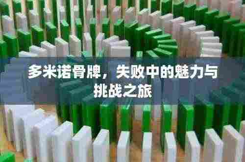 多米诺骨牌，失败中的魅力与挑战之旅