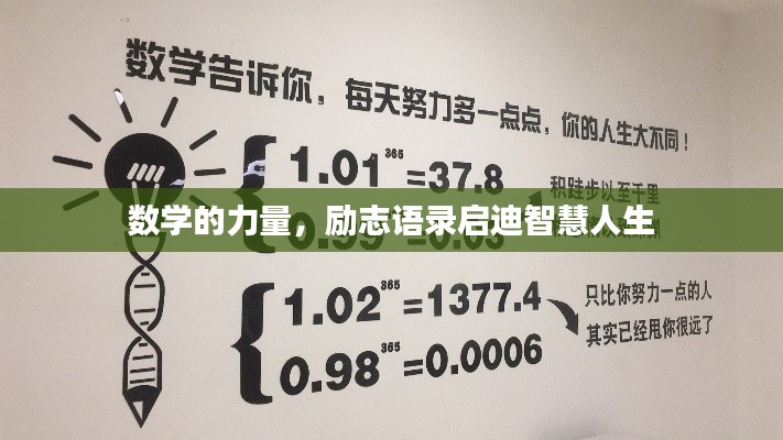 数学的力量，励志语录启迪智慧人生