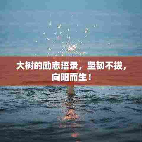 大树的励志语录，坚韧不拔，向阳而生！