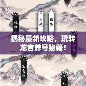 揭秘最新攻略，玩转龙宫养号秘籍！