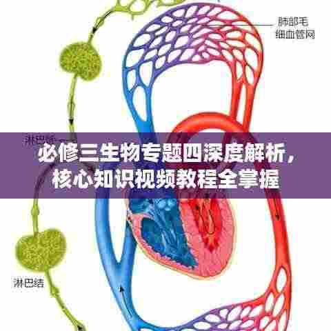必修三生物专题四深度解析，核心知识视频教程全掌握