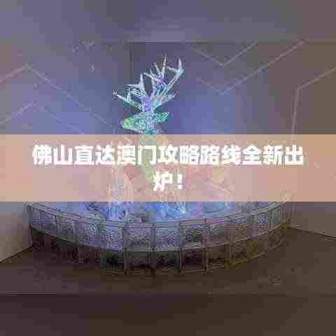 佛山直达澳门攻略路线全新出炉！