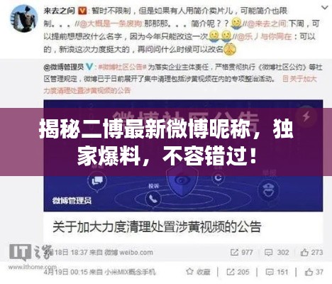 揭秘二博最新微博昵称，独家爆料，不容错过！