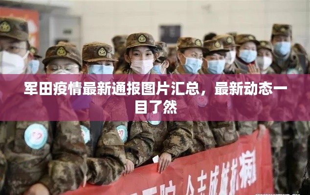 军田疫情最新通报图片汇总，最新动态一目了然