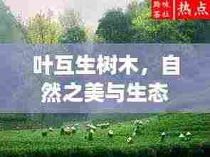 叶互生树木，自然之美与生态和谐的独特象征