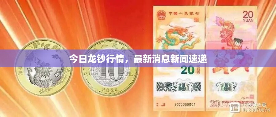 今日龙钞行情，最新消息新闻速递